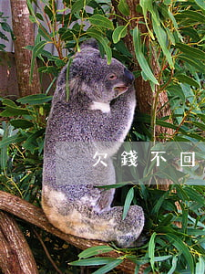 欠錢不回該怎么起訴
