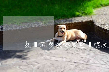 欠錢不多去哪里起訴呢（欠錢不多去哪里起訴）