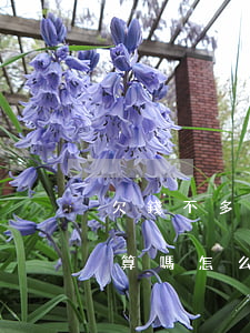 欠錢不多打官司劃算嗎-欠錢不多打官司劃算嗎怎么辦