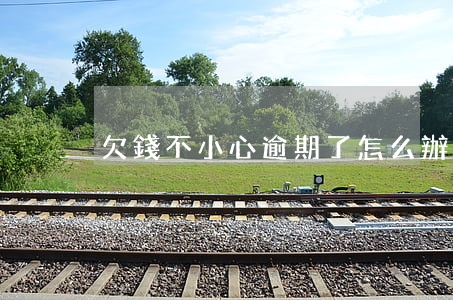 欠錢不小心逾期了怎么辦