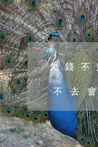 欠錢不知道被起訴開庭(欠別人錢被起訴開庭不去會(huì)怎么樣)