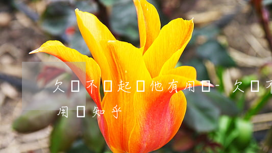 欠錢不給起訴他有用嗎-欠錢不給起訴他有用嗎知乎