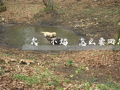 欠錢不起訴怎么要回(欠錢不起訴怎么要回)