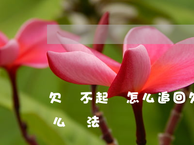 欠錢不起訴怎么追回(欠錢不還不起訴還有什么辦法)