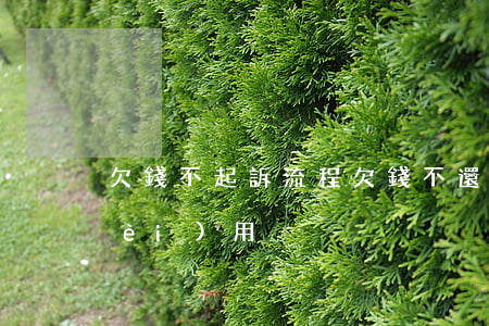 欠錢不起訴流程(欠錢不還起訴流程和費(fèi)用)
