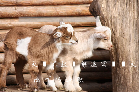 欠錢不起訴能追回來嗎(欠款不起訴有什么辦法可以追款)