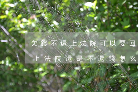 欠錢不還上法院可以要回來嗎(把欠錢的人告上法院,還是不還錢怎么辦)