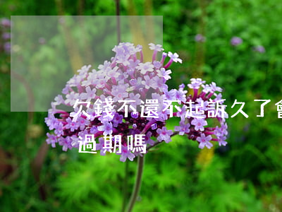 欠錢不還不起訴久了會過期嗎?（欠錢不起訴會過期嗎）