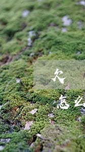 欠錢不還人找不到怎么辦(借錢不還找不到人怎么辦)