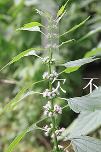 欠錢不還別人起訴我會(huì)怎么樣