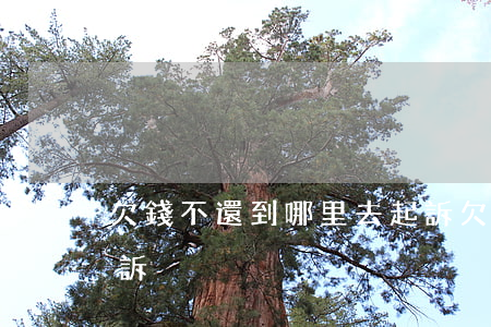 欠錢不還到哪里去起訴(欠錢不還該去哪里起訴)