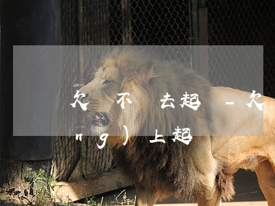 欠錢不還去起訴-欠錢不還怎樣在網(wǎng)上起訴