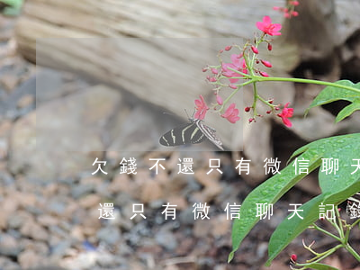欠錢不還只有微信聊天記錄能起訴-欠錢不還只有微信聊天記錄能起訴他嗎
