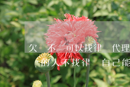 欠錢不還可以找律師代理起訴嗎(起訴欠錢不還的人,不找律師自己能起訴嗎)