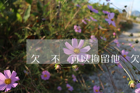 欠錢不還可以拘留他嗎(欠錢不還可以拘留多長時間)
