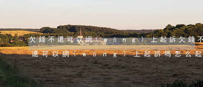 欠錢不還可以網(wǎng)上起訴(欠錢不還可以網(wǎng)上起訴嗎怎么起訴)