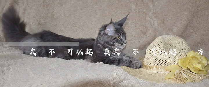 欠錢不還可以起訴莫(欠錢不還可以起訴對方嗎)