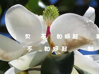 欠錢不還如何起訴強制執(zhí)行(欠錢不還如何起訴強制執(zhí)行人)