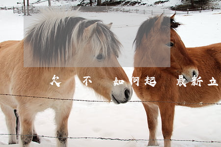 欠錢不還如何起訴最新立法