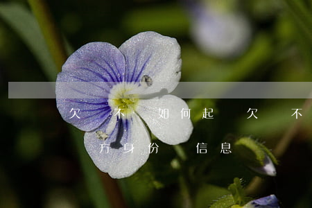欠錢不還如何起訴(欠錢不還如何起訴,不知道對方身份證信息)