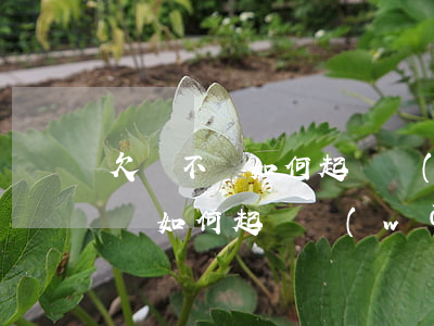 欠錢不還如何起訴網(wǎng)上(欠錢不還如何起訴網(wǎng)上)