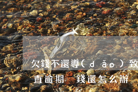 欠錢不還導(dǎo)致我貸款逾期(貸款一直逾期沒錢還怎么辦)