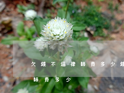 欠錢不還律師費多少錢(欠5000錢不還律師費多少)