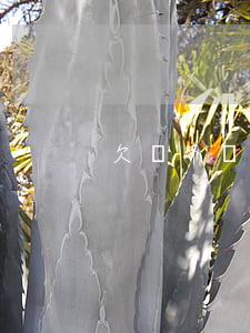 欠錢不還怎么告他(欠錢不還怎么告他失信)