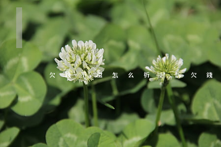 欠錢不還怎么祈起訴(欠錢不還,怎樣起訴)