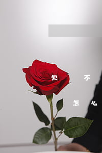 欠錢不還怎么起訴后法院怎么處理-欠錢不還怎么起訴后法院怎么處理呢