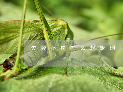 欠錢不還怎么起訴她
