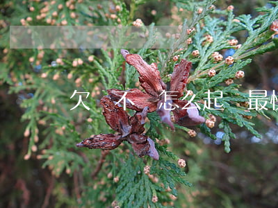 欠錢不還怎么起訴最快(欠錢不還,怎樣起訴)