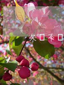 欠錢不還怎么起訴有用