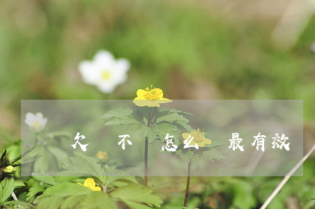 欠錢不還怎么辦最有效