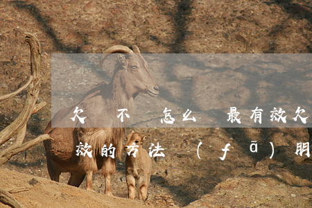 欠錢不還怎么辦最有效(欠錢不還怎么辦最有效的方法發(fā)朋友圈)