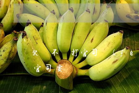欠錢不還打官司費(fèi)用(欠錢不還打官司要錢嗎)