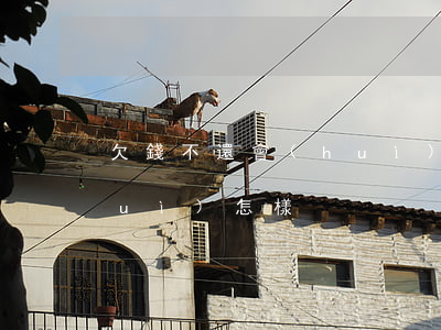 欠錢不還會(huì)怎樣(欠錢不還會(huì)怎樣?)