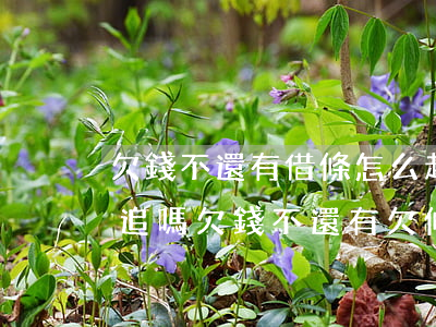 欠錢不還有借條怎么起訴,起訴后還用追債人追嗎（欠錢不還有欠條起訴找律師嗎）
