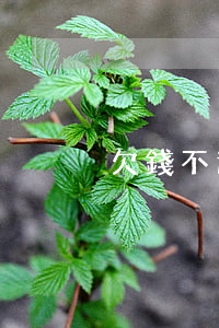 欠錢不還有借條起訴書怎么寫