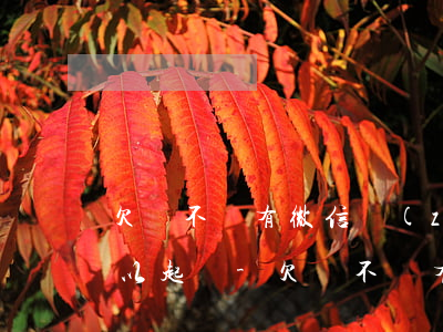 欠錢不還有微信轉(zhuǎn)賬記錄可以起訴-欠錢不還有微信轉(zhuǎn)賬記錄可以起訴嗎
