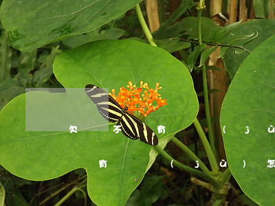 欠錢不還有證據(jù)怎么處理(對方欠錢沒有證據(jù)怎么處理)