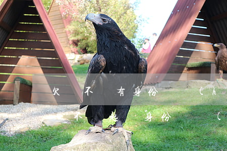 欠錢不還有身份證號(hào)怎么整他（欠錢不還起訴身份證號(hào)）