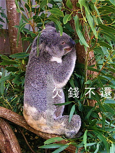 欠錢不還欠錢起訴狀(欠錢不還的起訴狀)