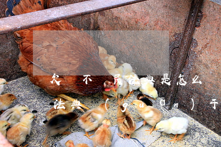 欠錢不還民法典是怎么規(guī)定的(民法典關(guān)于欠錢不還怎么處理)