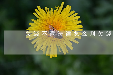 欠錢不還法律怎么判(欠錢不還怎么判罰)
