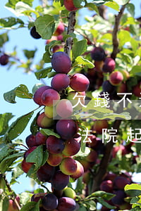 欠錢不還法律起訴結(jié)果(欠錢不還法院起訴要多久結(jié)案)