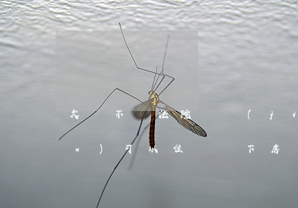 欠錢不還法院凍結(jié)房產(chǎn)可以住嗎(沒下房產(chǎn)證的房子法院可以凍結(jié)嗎)