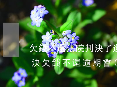 欠錢不還法院判決了還是不還怎么辦（法院判決欠錢不還逾期會(huì)怎么樣）