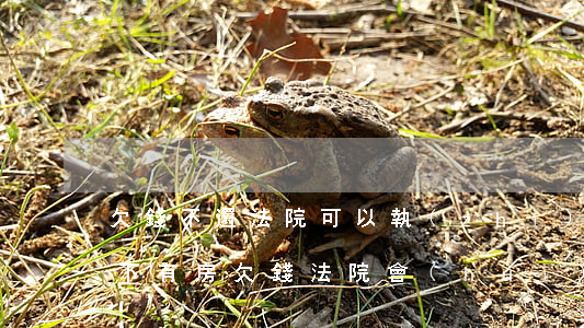 欠錢不還法院可以執(zhí)行房子嗎(名下有房欠錢法院會(huì)強(qiáng)制執(zhí)行嗎)