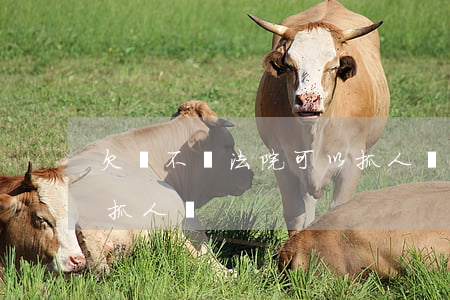 欠錢不還法院可以抓人嗎(欠錢不還警察可以抓人嗎)
